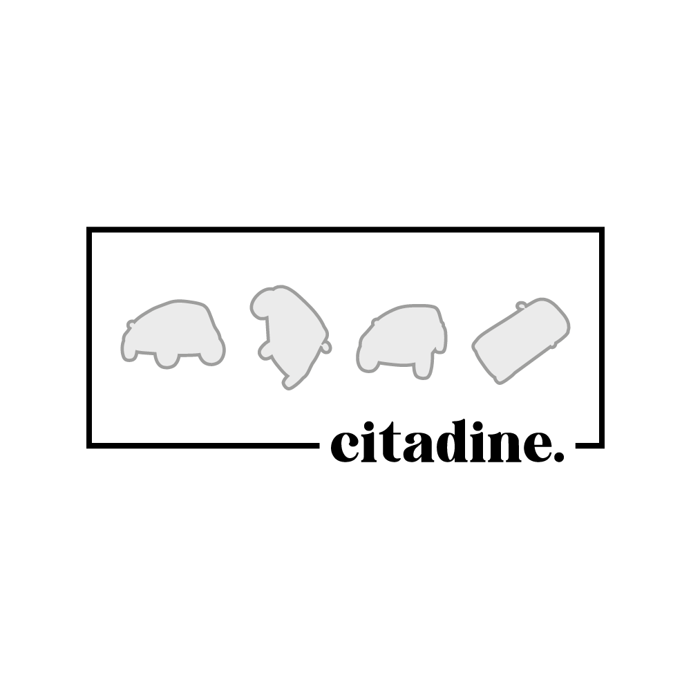 Logo 26