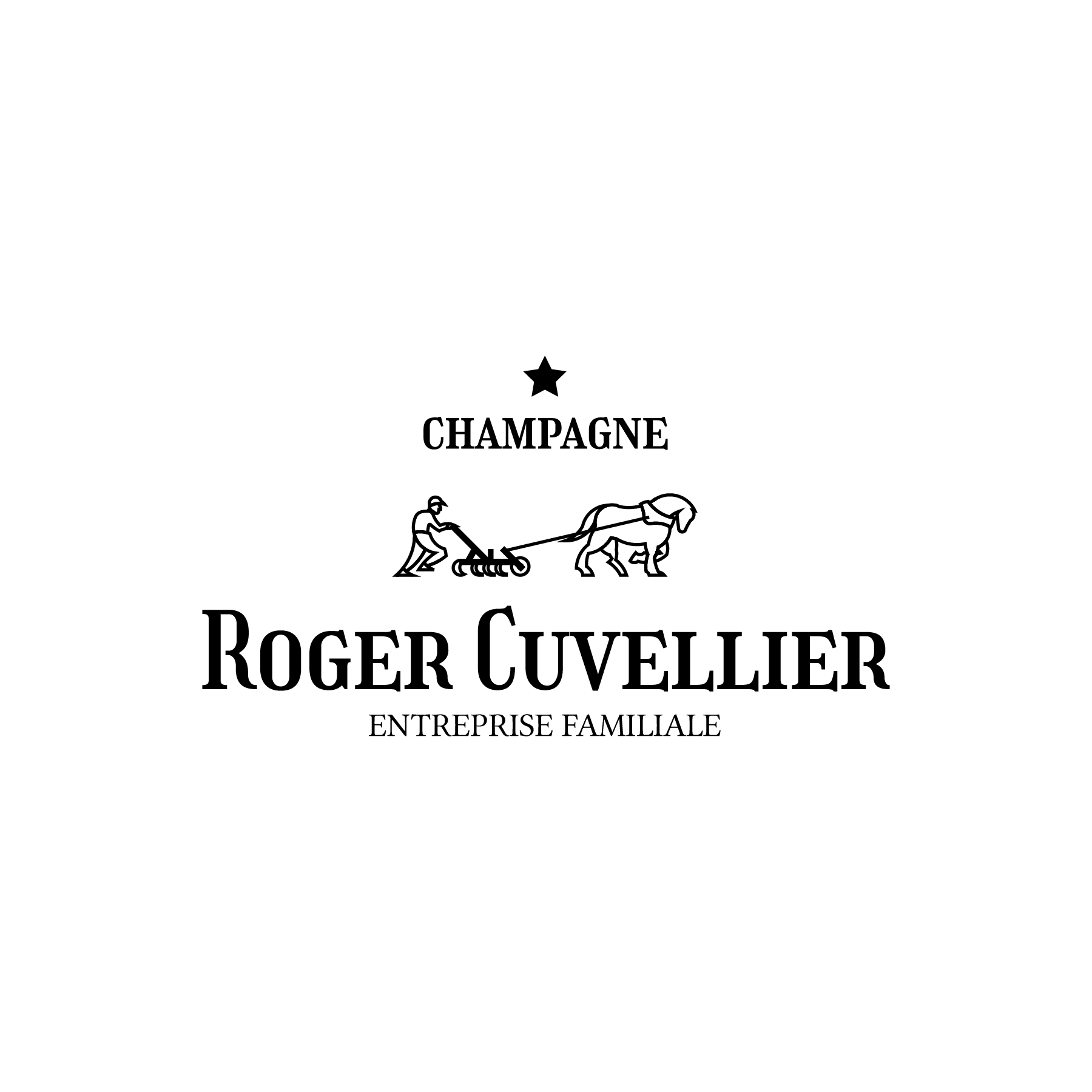 Logo 25